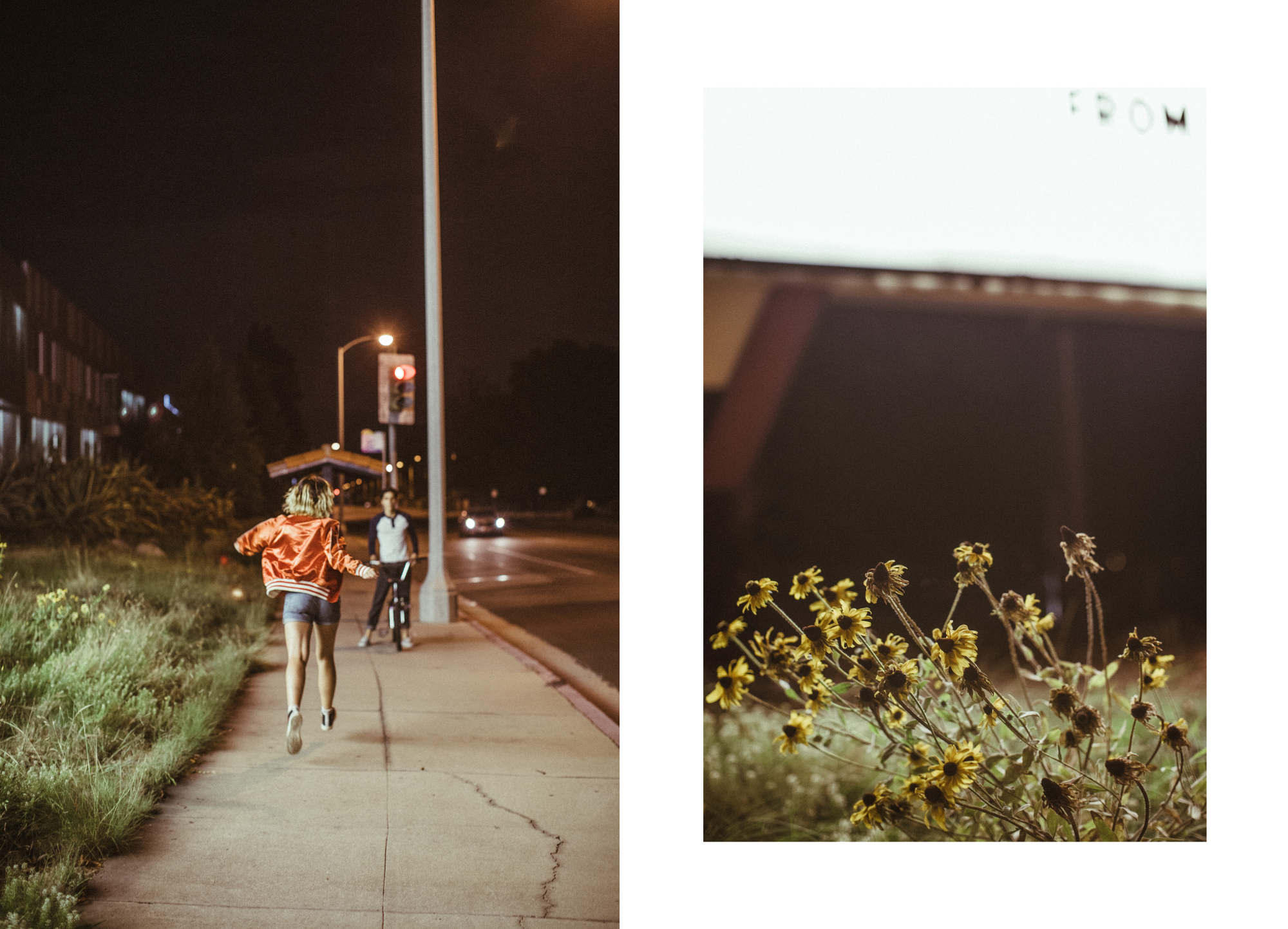 img_1132_diptych_2000_c