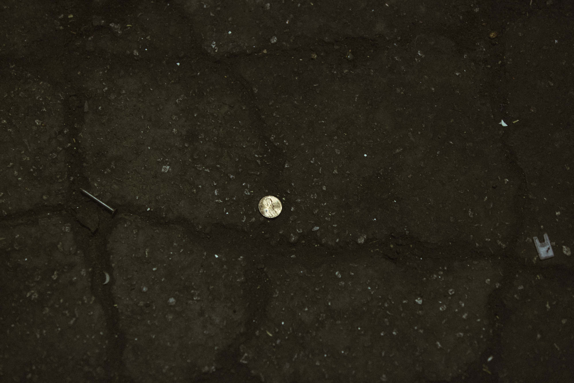 shef3428_2000_c